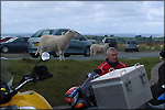 Wales thumbnail 13